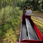 7¼" Sit Astride Carriage - Image 7