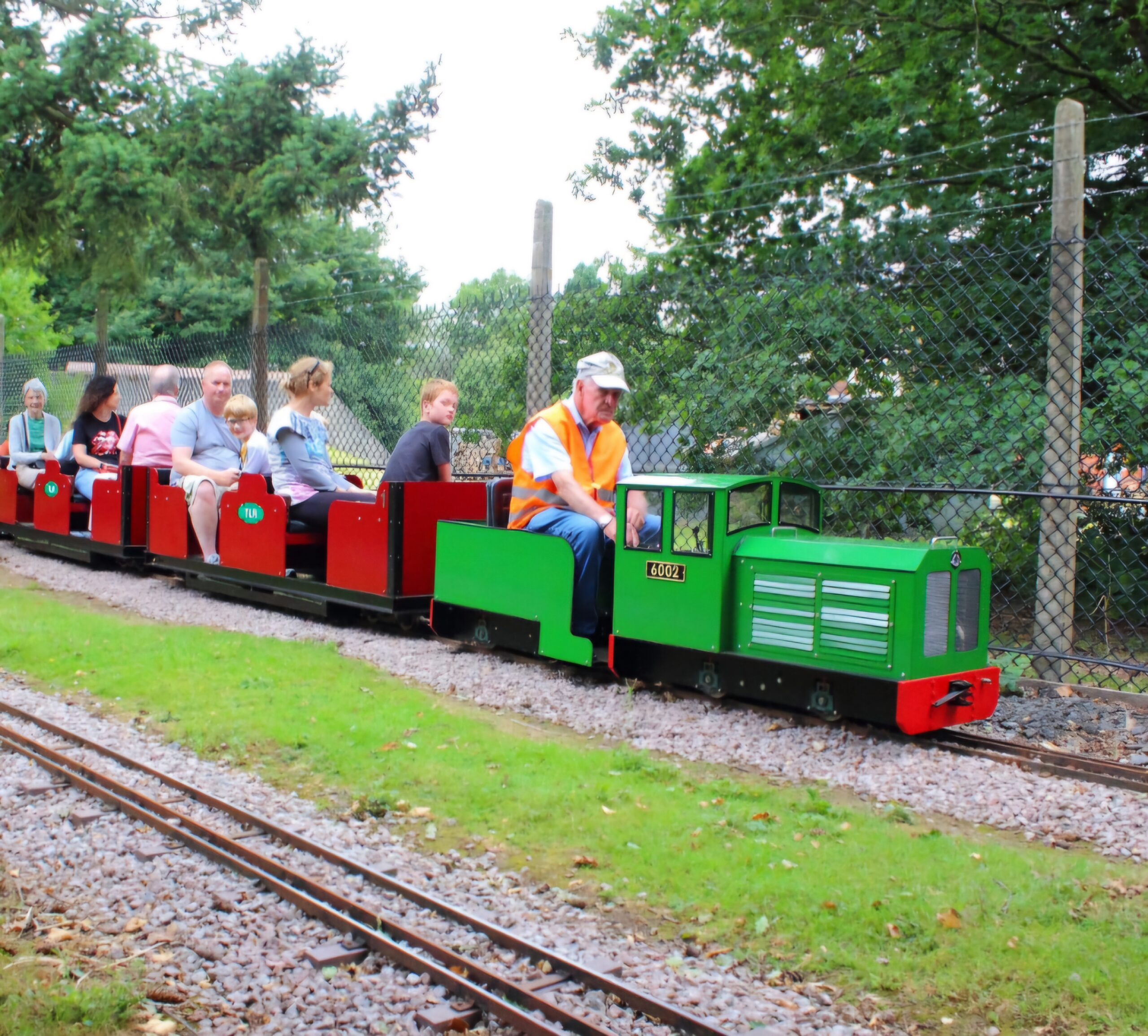 Super Knight 7¼” - Image 10